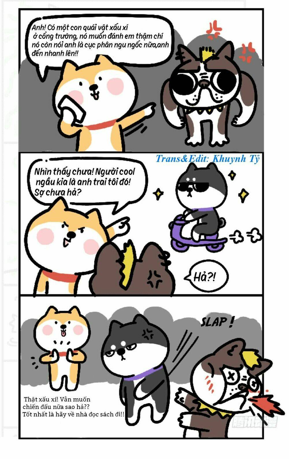 anh em shiba chapter 3 2