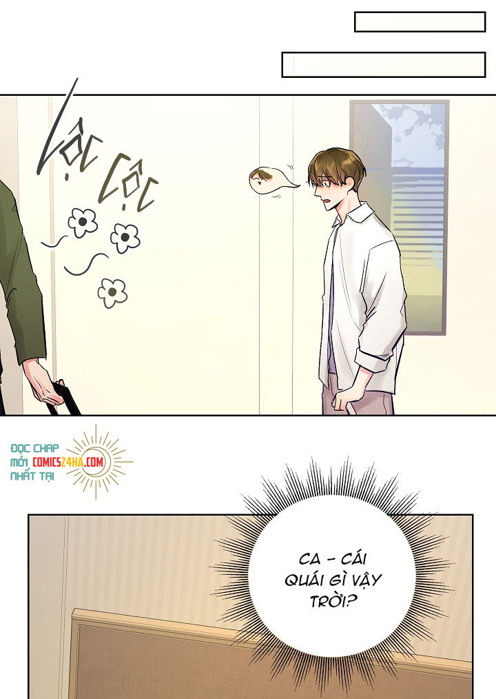 kế hoạch cưới chồng chapter 10 31