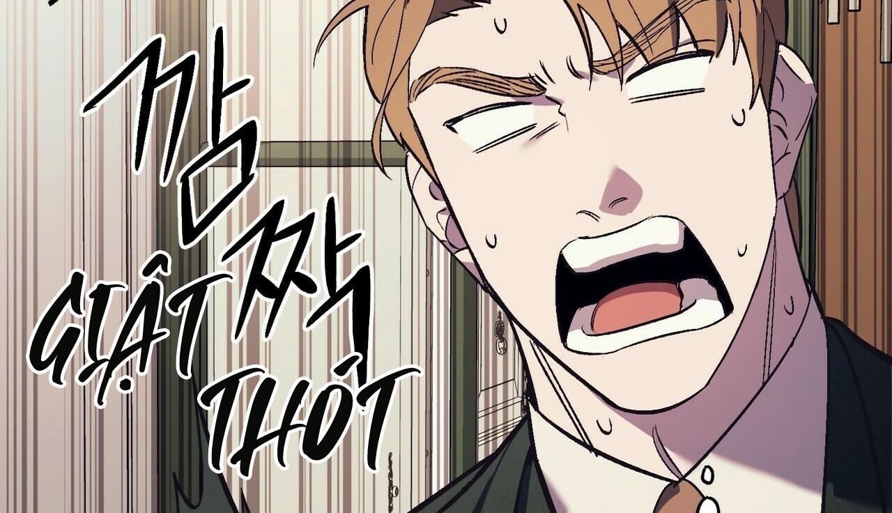 chàng dâu nhà họ kang chapter 17 66