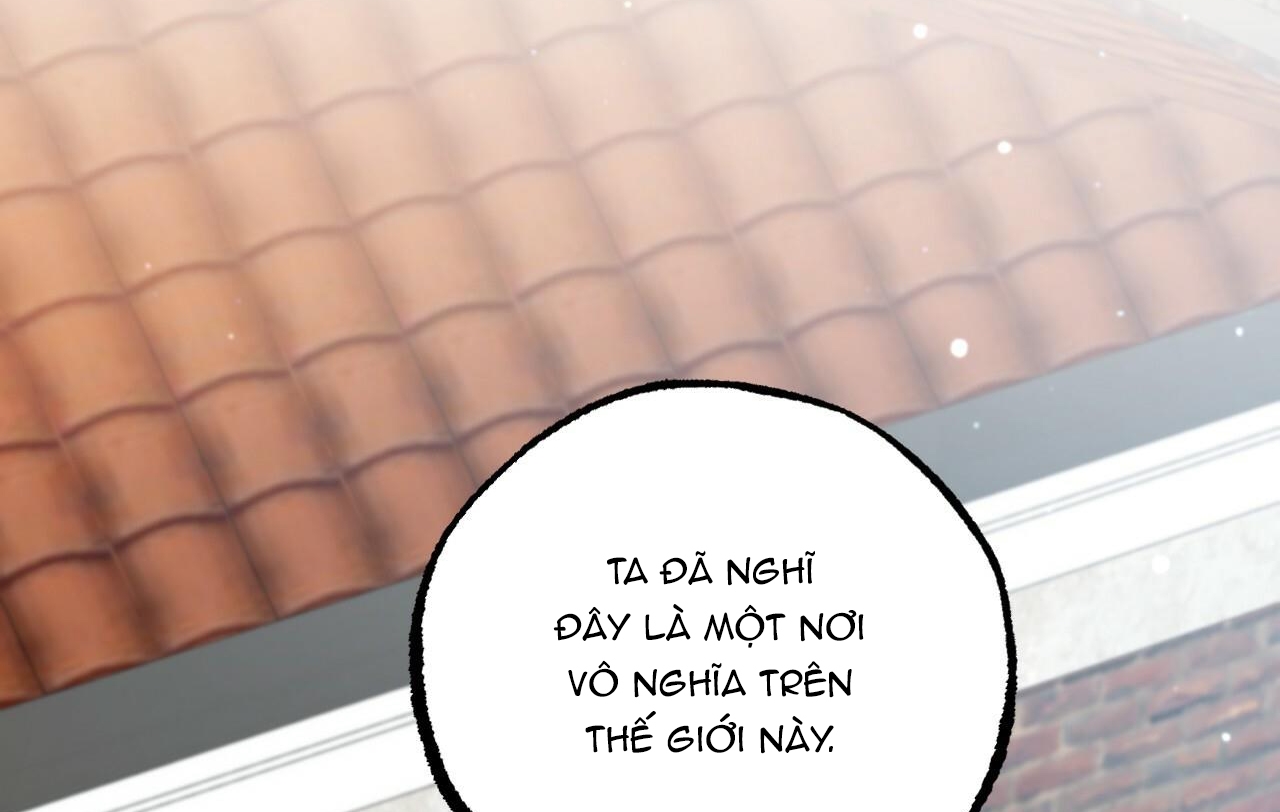 đàn thỏ của habibi chapter 32 59