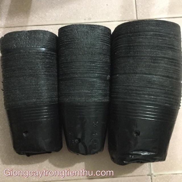 TÚI BẦU TRỒNG CÂY