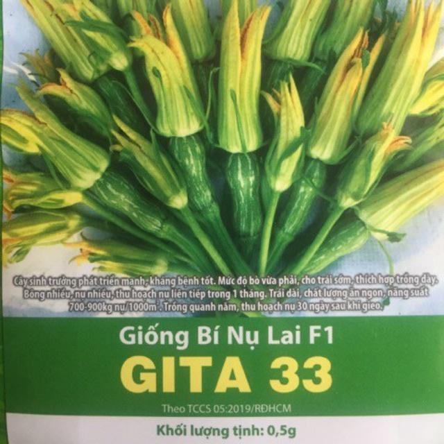 Giống Bí Nụ Lai F1 GITA 33 - RẠNG ĐÔNG - 8 Hạt - Bông nhiều, nụ nhiều, thu hoạch nụ liên tiếp, trái ăn ngon