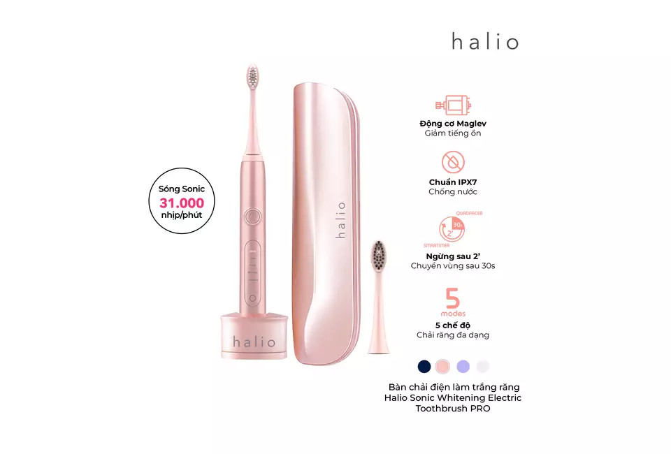 Combo Bàn Chải Điện Làm Trắng Răng Halio Sonic Whitening Electric Toothbrush PRO ( Rose & Midnight Blue)