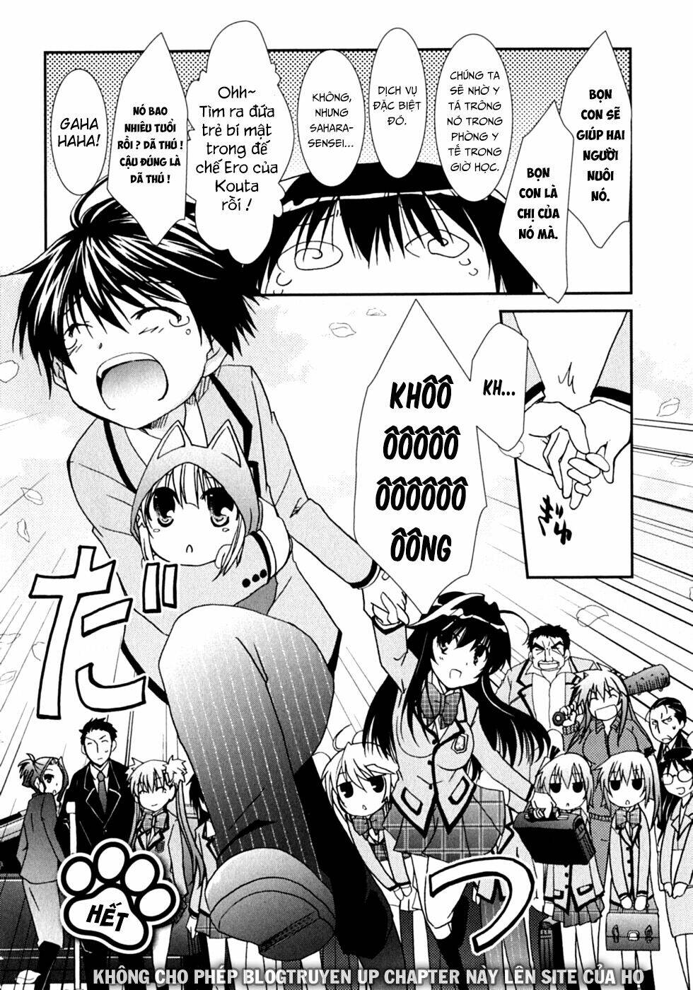 kanokon chapter 47 41
