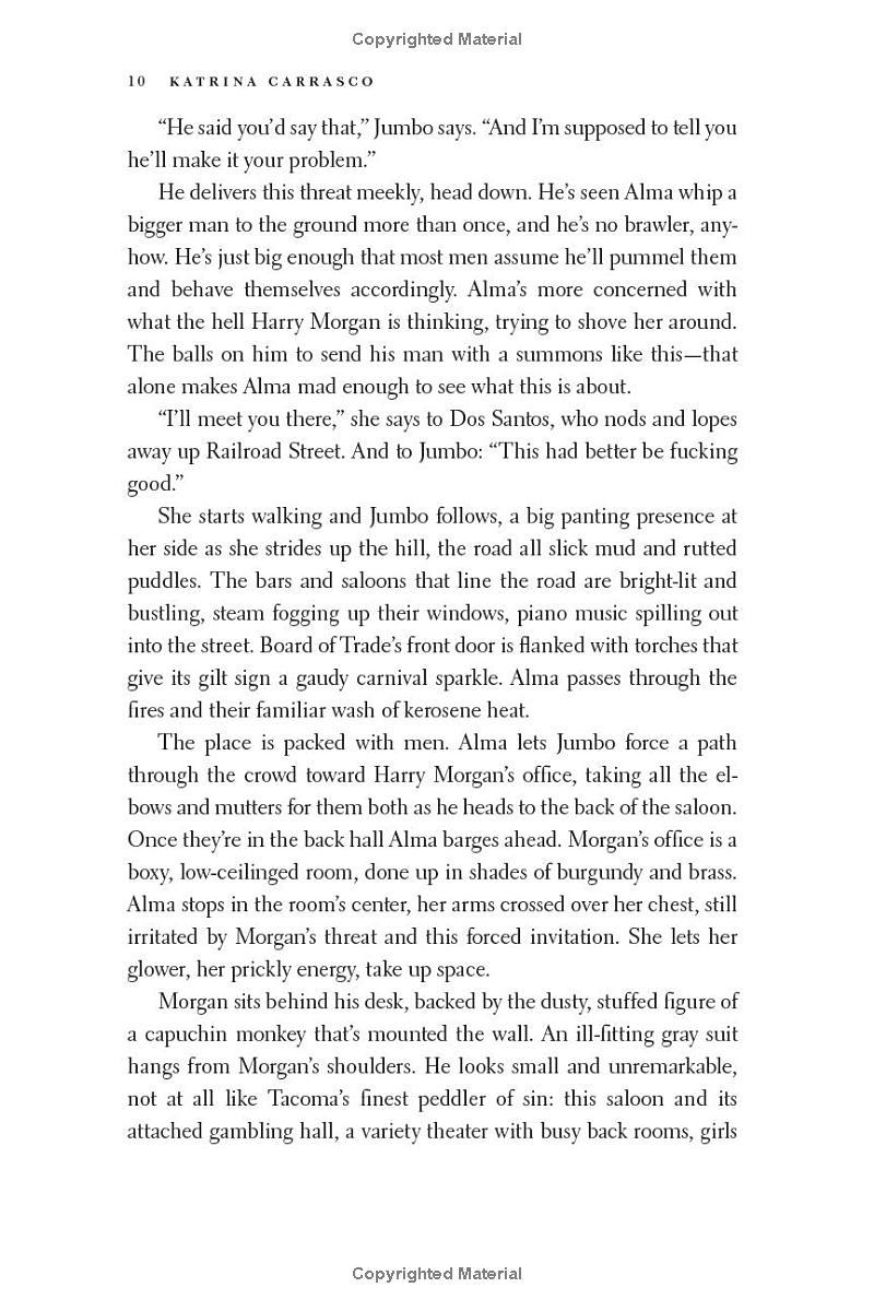 Sách ngoại văn: Rough Trade - A Novel