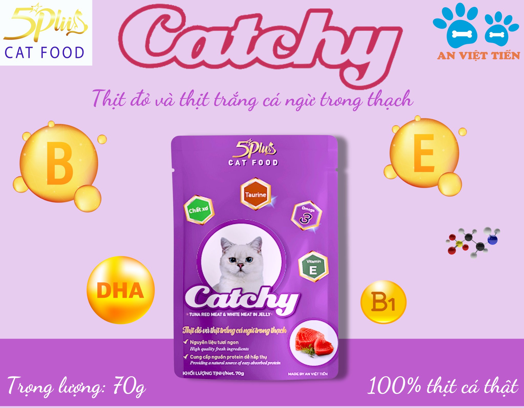 Pate cho mèo mọi lứa tuổi CATCHY 5PLUS CAT FOOD _ THÙNG 48 túi 70g mix vị