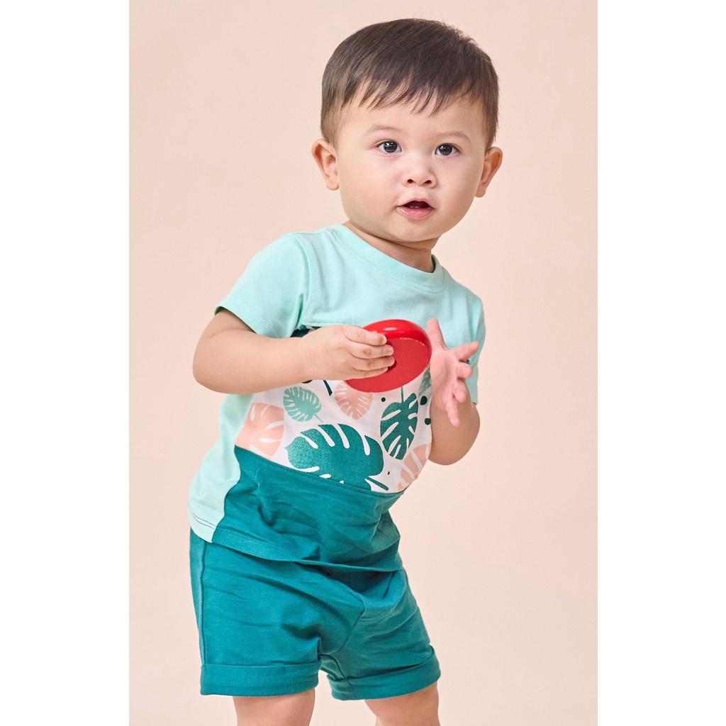 Bộ áo thun quần đùi bé trai 3 - 18 tháng vải cotton in họa tiết trơn và lá cọ TSTS1-1418B | OETEO Tropical Land
