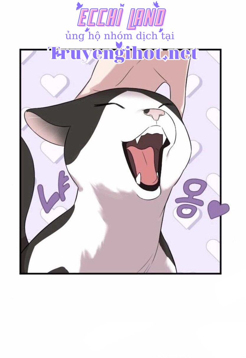 cô đi mà lấy chồng tôi chapter 31.2 25