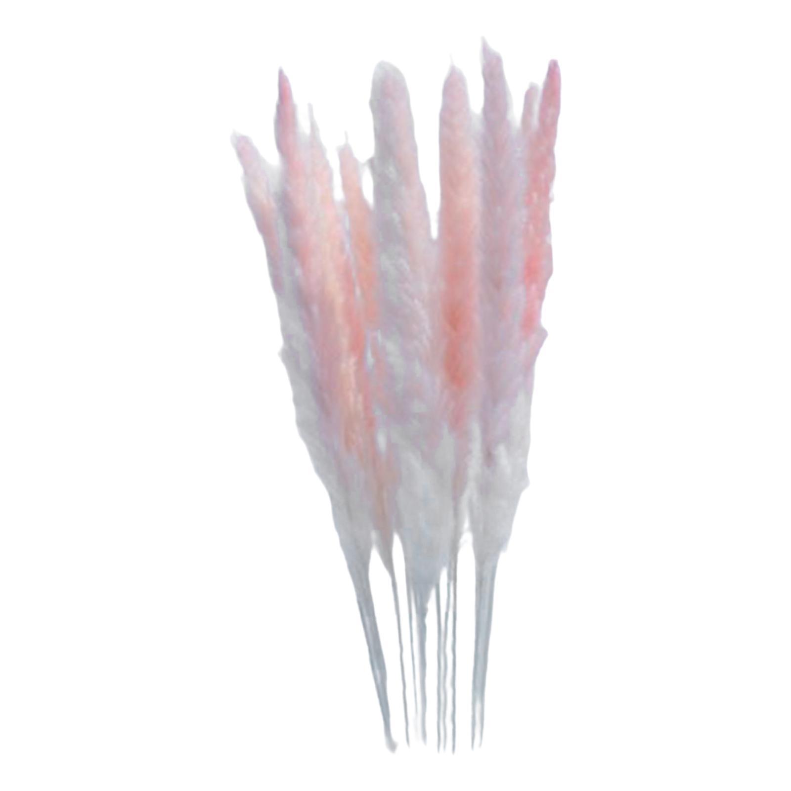 Natural Dried Pampas Grass Boho Home Decor Flower Arrangement Dried Reed Phragmites Decoration