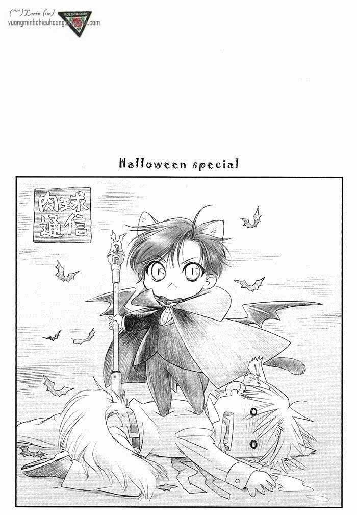 maiden rose-special chapter 16 19