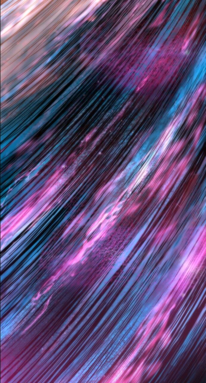 Chúa tể học đường chapter 555.5 67