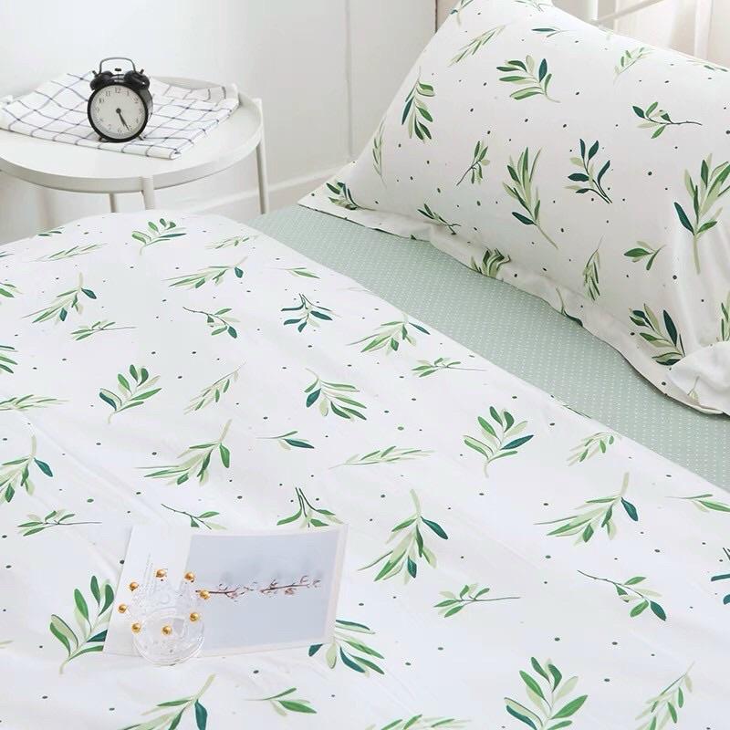 Set Cotton Living 100% Hàng Nhập Khẩu Cao Cấp 4 Món Lá Me Trắng