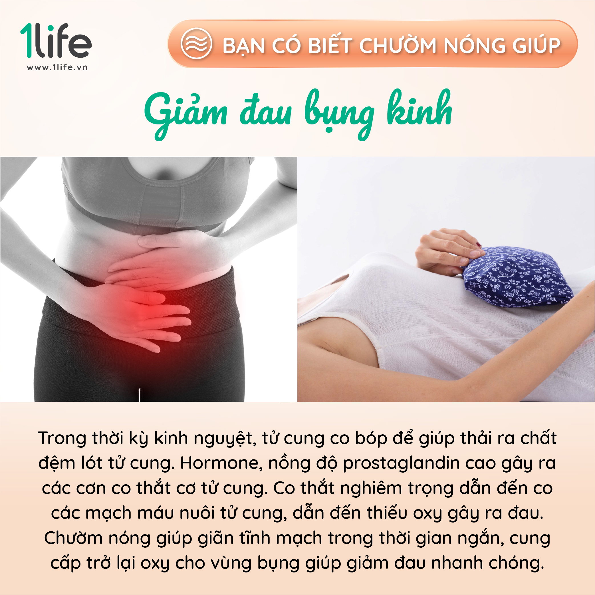 Gối thảo dược mùi hương hoa oải hương &amp; bạc hà 1LIFE