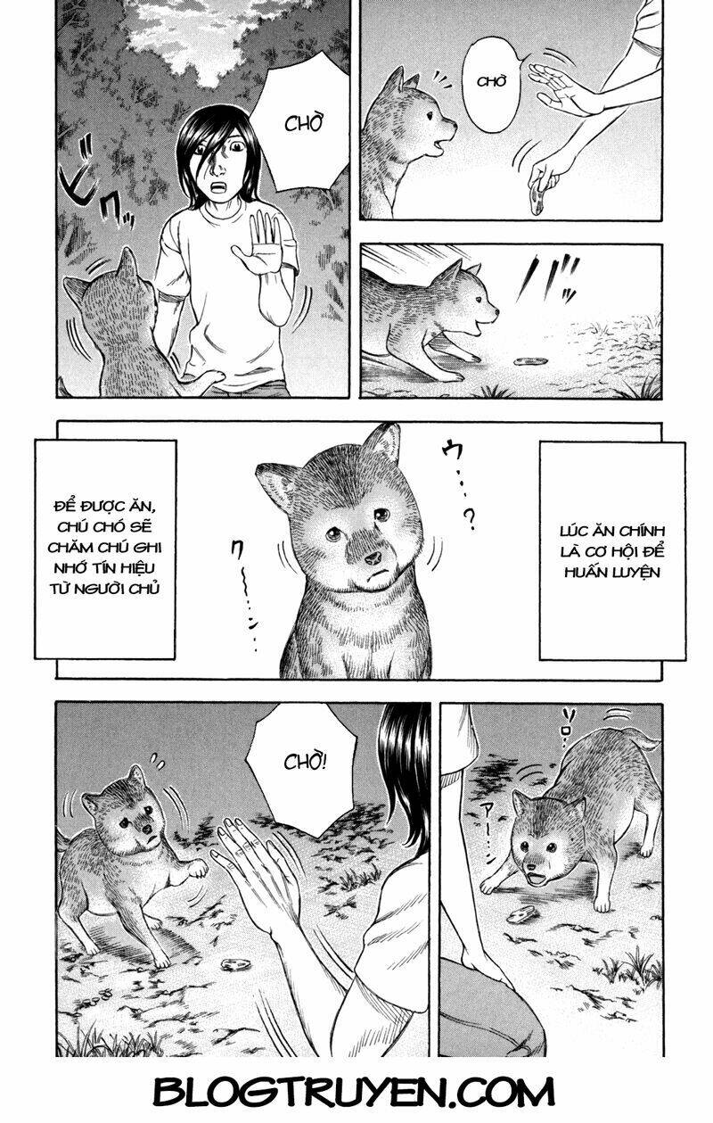 đảo tự sát chapter 21 24