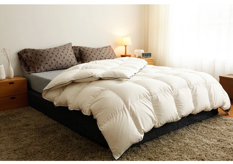 Ruột chăn lông vũ cao cấp