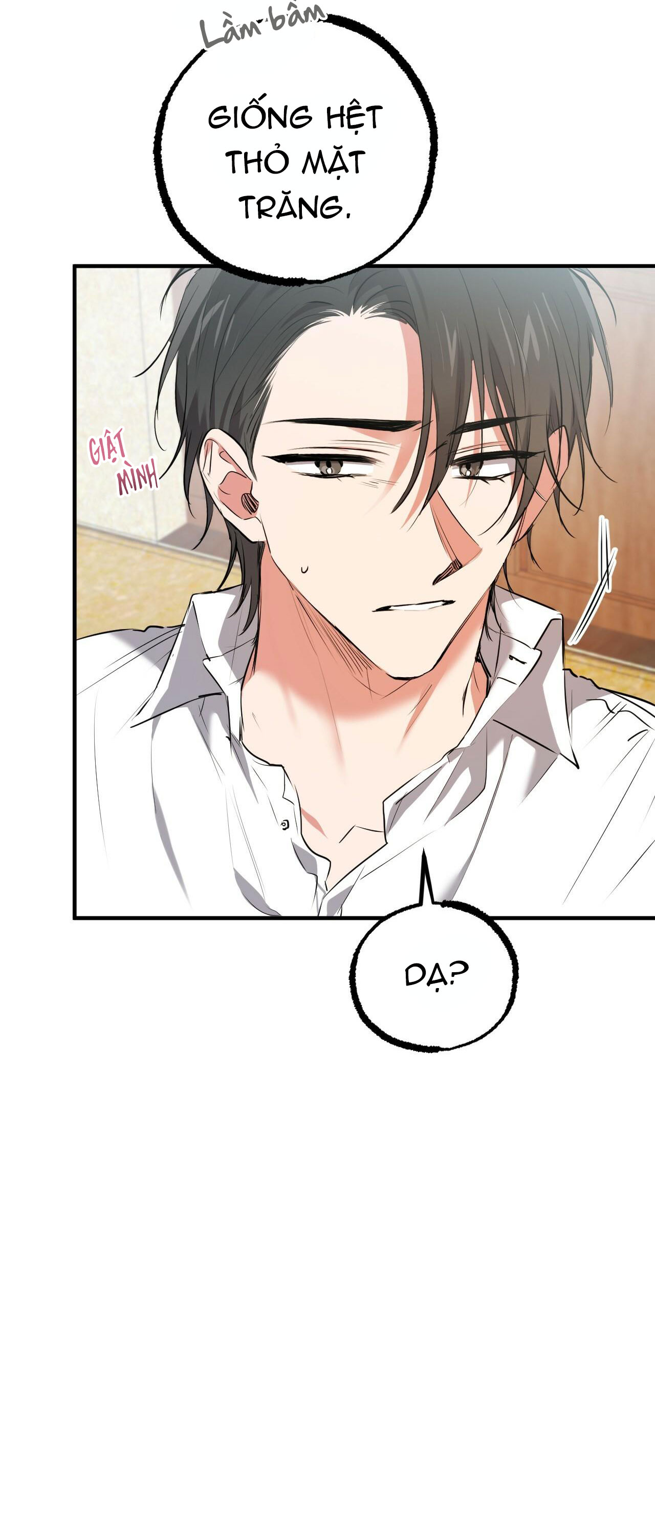 những chú thỏ của hapypy chapter 40 11