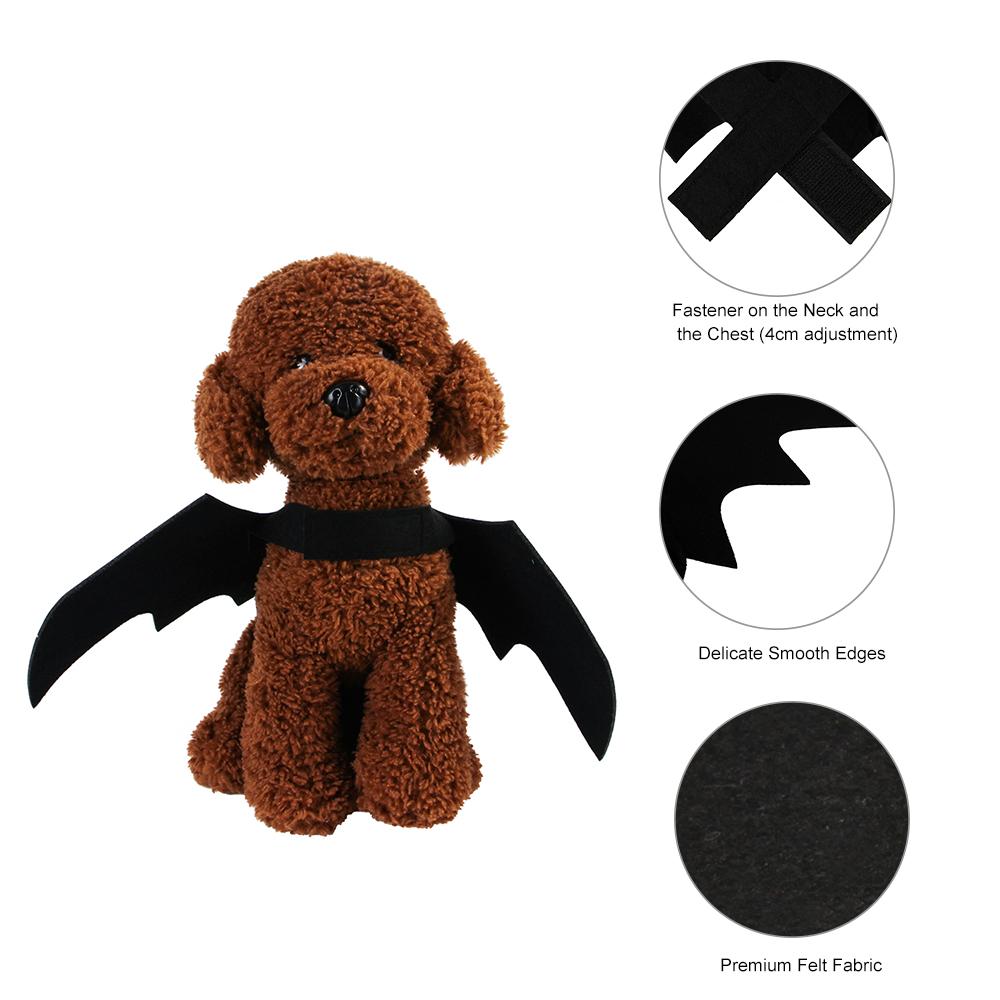 Đồ Halloween dành cho Mèo Con, chó nhỏ
