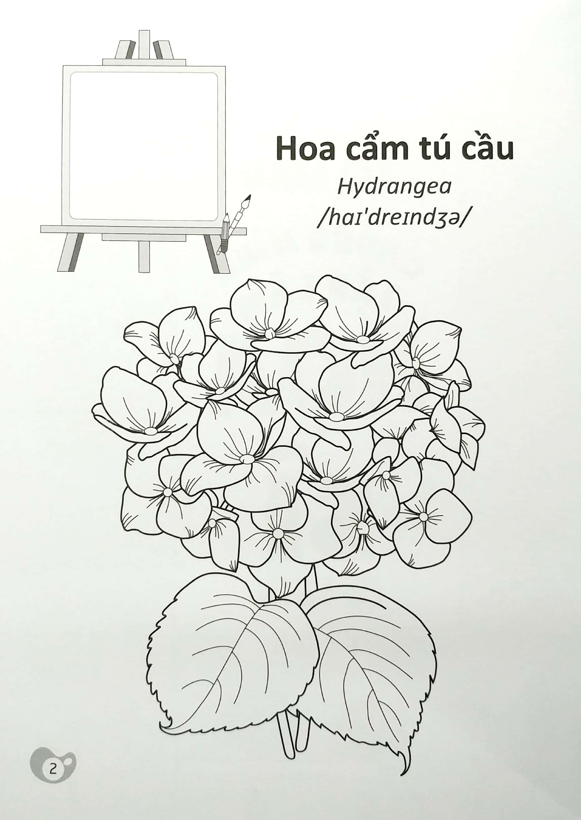 Tô Màu Chúng Mình Tập Làm Họa Sĩ - 3-6 Tuổi - Các Loài Hoa