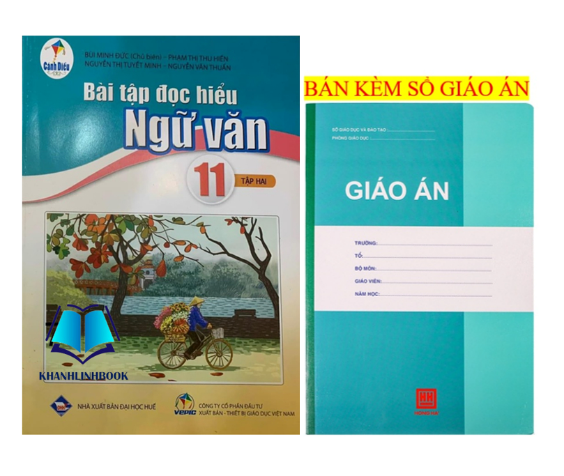 Sách - Bài tập đọc hiểu ngữ văn 11 - tập 2 ( cánh diều )