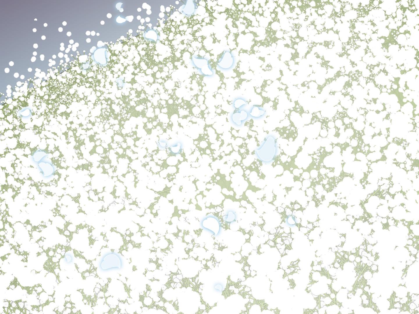 dear door chapter 140 8