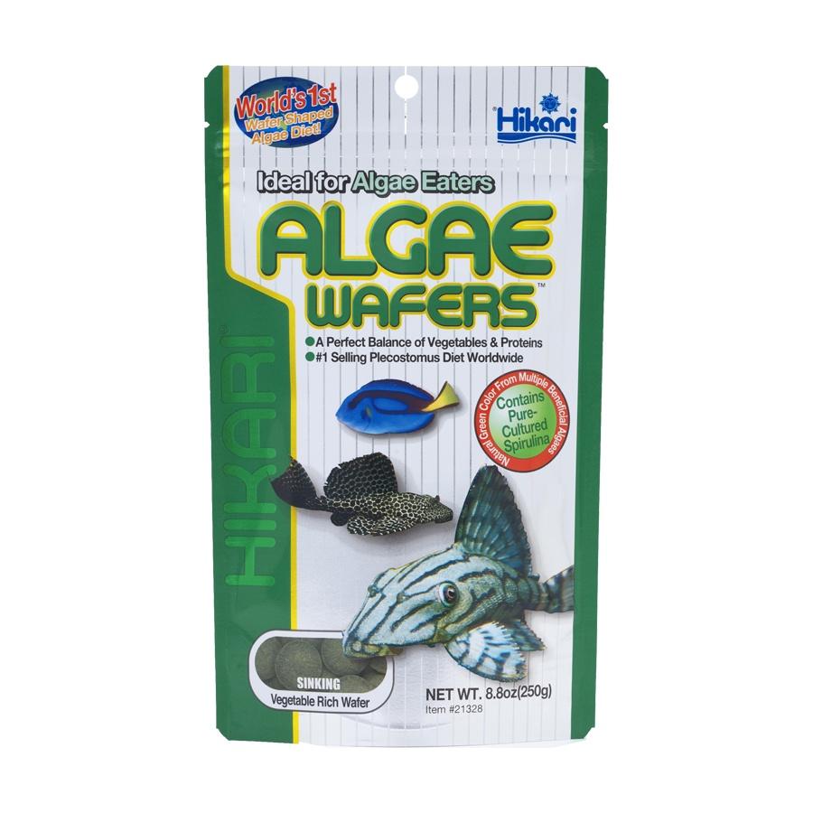 Thức ăn Pleco Hikari - Thức ăn chuyên dụng cho cá tầng đáy - Pleco - Cá săn mồi - Cám Hikari - cám Nhật - shopleo