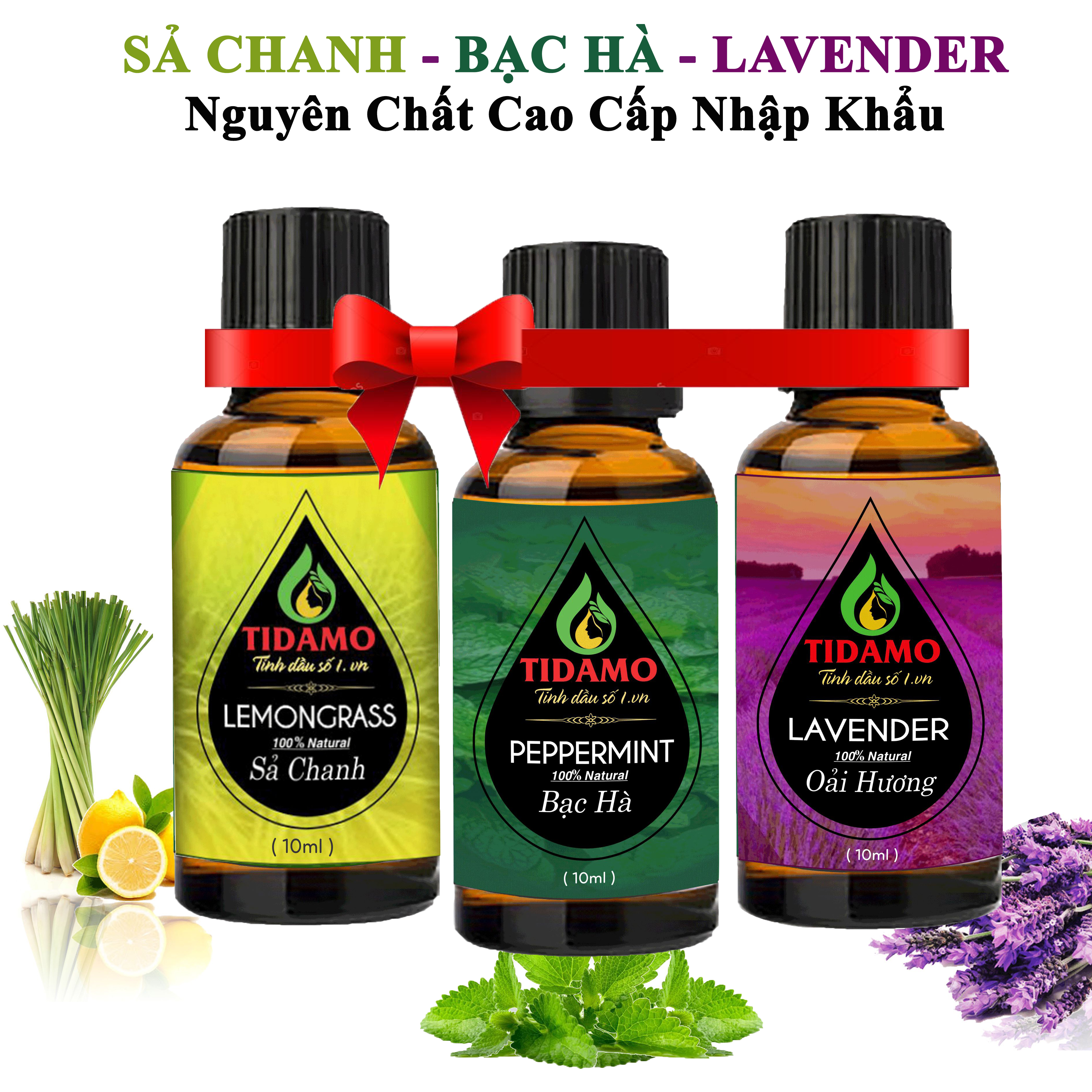 Combo 3 Tinh Dầu Sả Chanh + Tinh Dầu Bạc Hà + Tinh Dầu Oải Hương (Lavender) - Tinh Dầu Xông Phòng Nguyên Chất Giúp Thư Giãn, Đuổi Muỗi Và Thơm Phòng (3 chai 10ML)