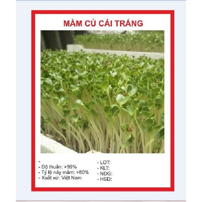 Hạt giống Mầm củ cải trắng –