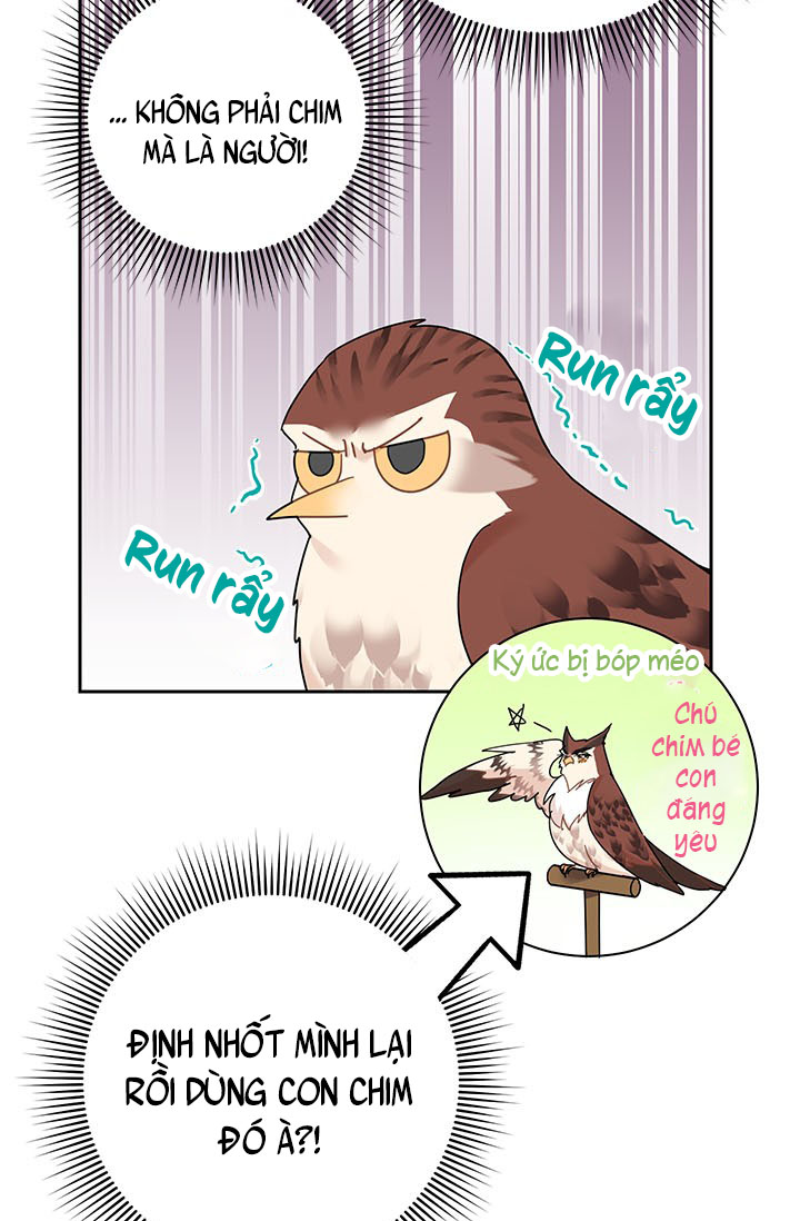 công chúa của loài chim chapter 23 11