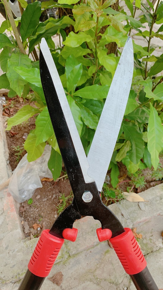 Kéo Cắt Tỉa Cành - Kéo Xén Cây Bờ Rào - Kéo Cắt Tỉa Cây Công Viên Siêu Sắc Bén - MJP68