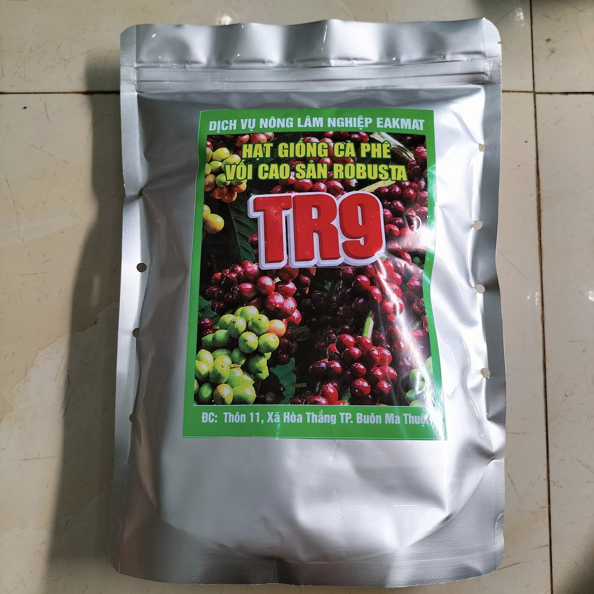 500gram hạt cà phê xanh lùn giống