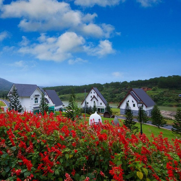 Đà Lạt Wonder Resort 4* - Buffet Sáng, Hồ Bơi Vô Cực, Xe Đưa Đón Trung Tâm, Miễn Phí Tham Quan Vườn Dâu, Vườn Rau, Khách Sạn Bên Hồ Tuyền Lâm Cực Đẹp