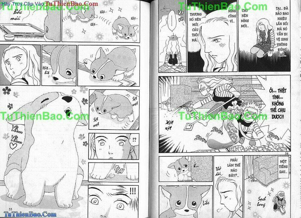 chó con mo mo chapter 1 28