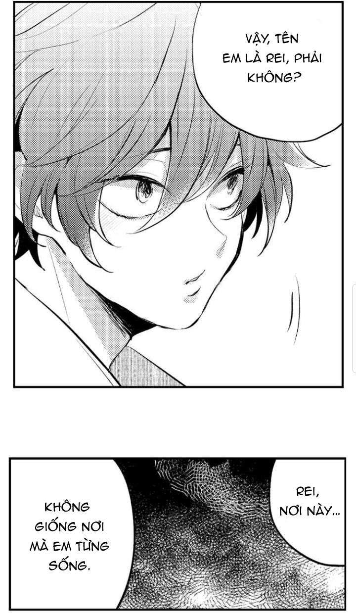 tiếng gọi của tình yêu sau trải nghiệm cận tử chapter 5 4