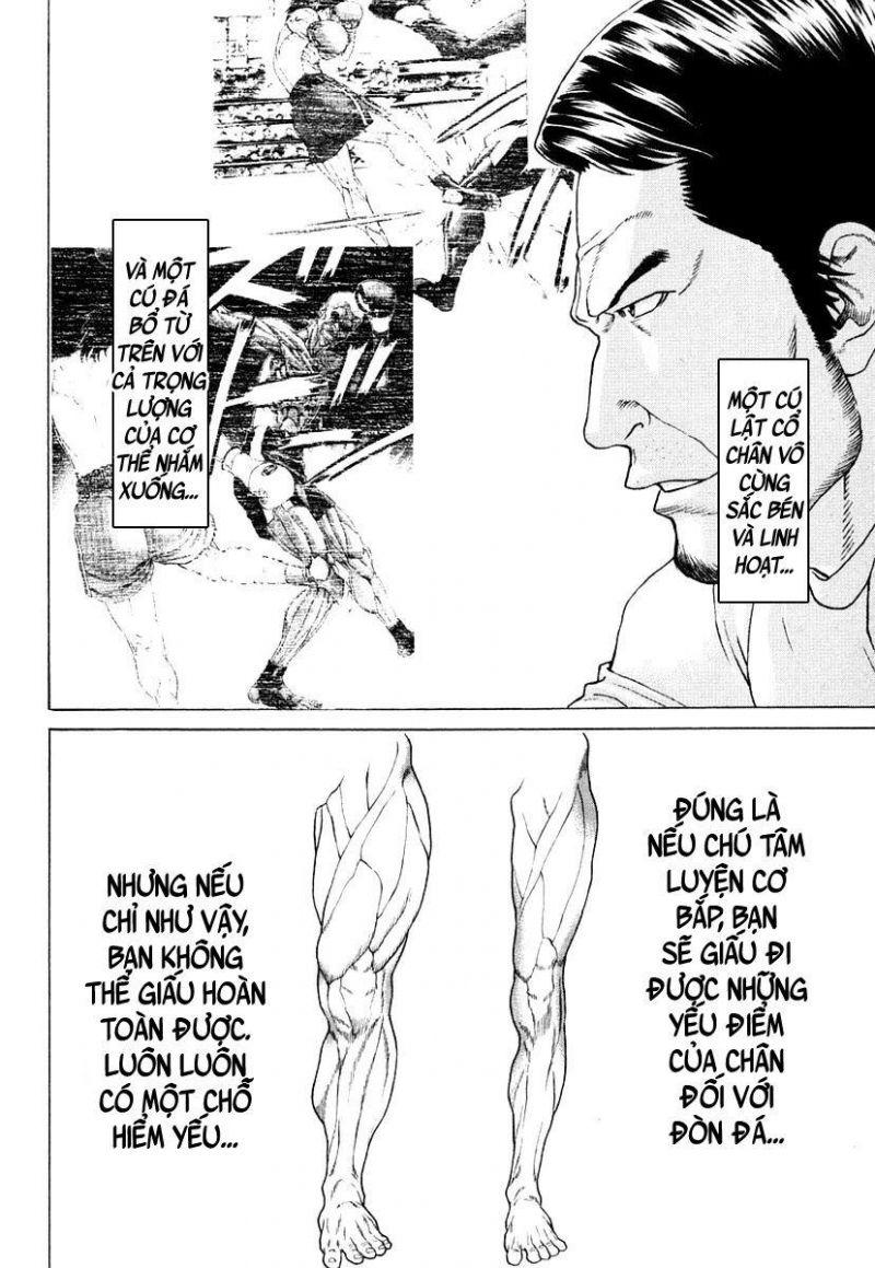 karate shoukoushi kohinata minoru chapter 219 12