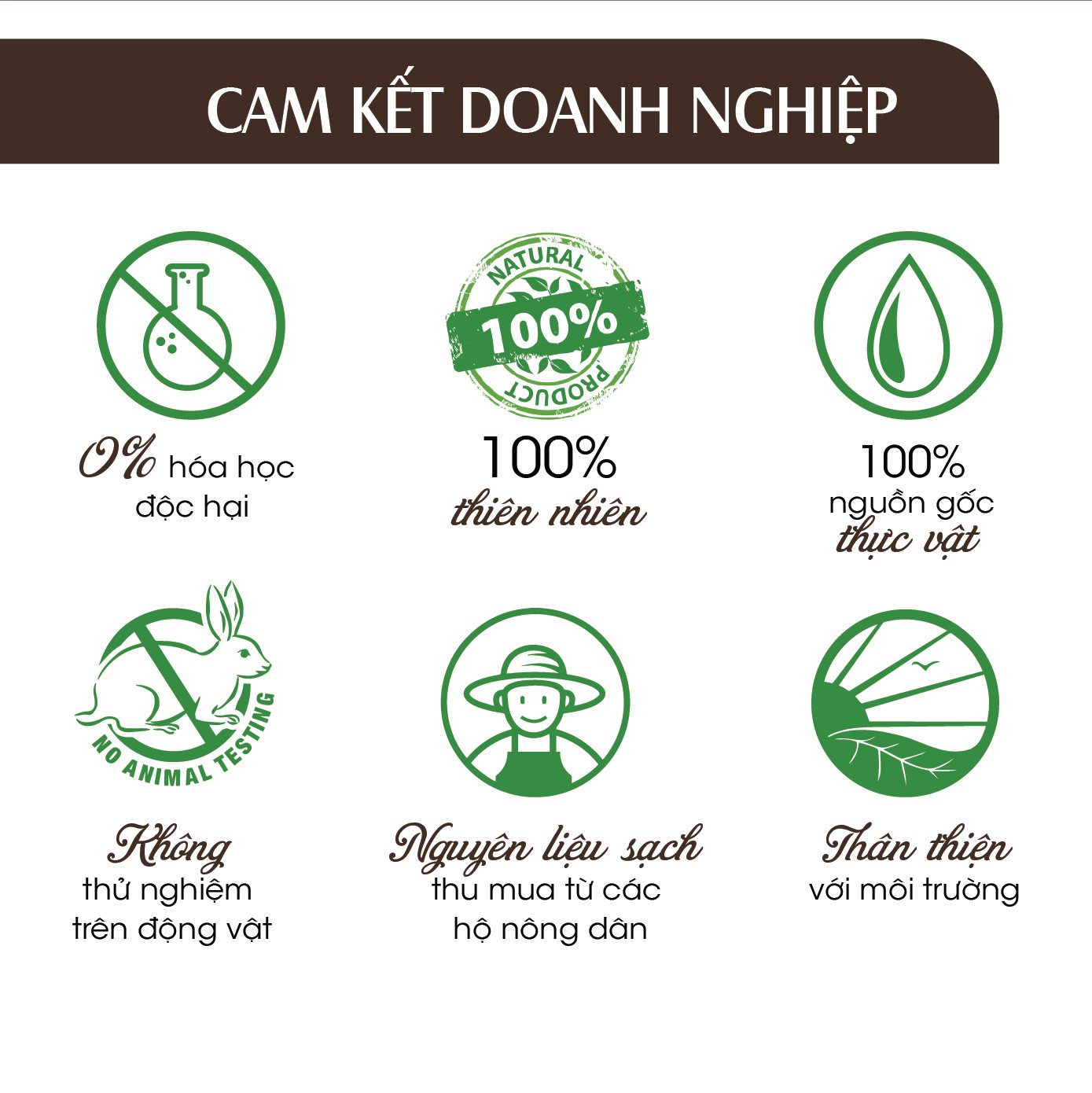 Tinh dầu Quế 24Care - diệt khuẩn, khử mùi hiệu quả, ngủ ngon, an thần, chiết xuất thiên nhiên