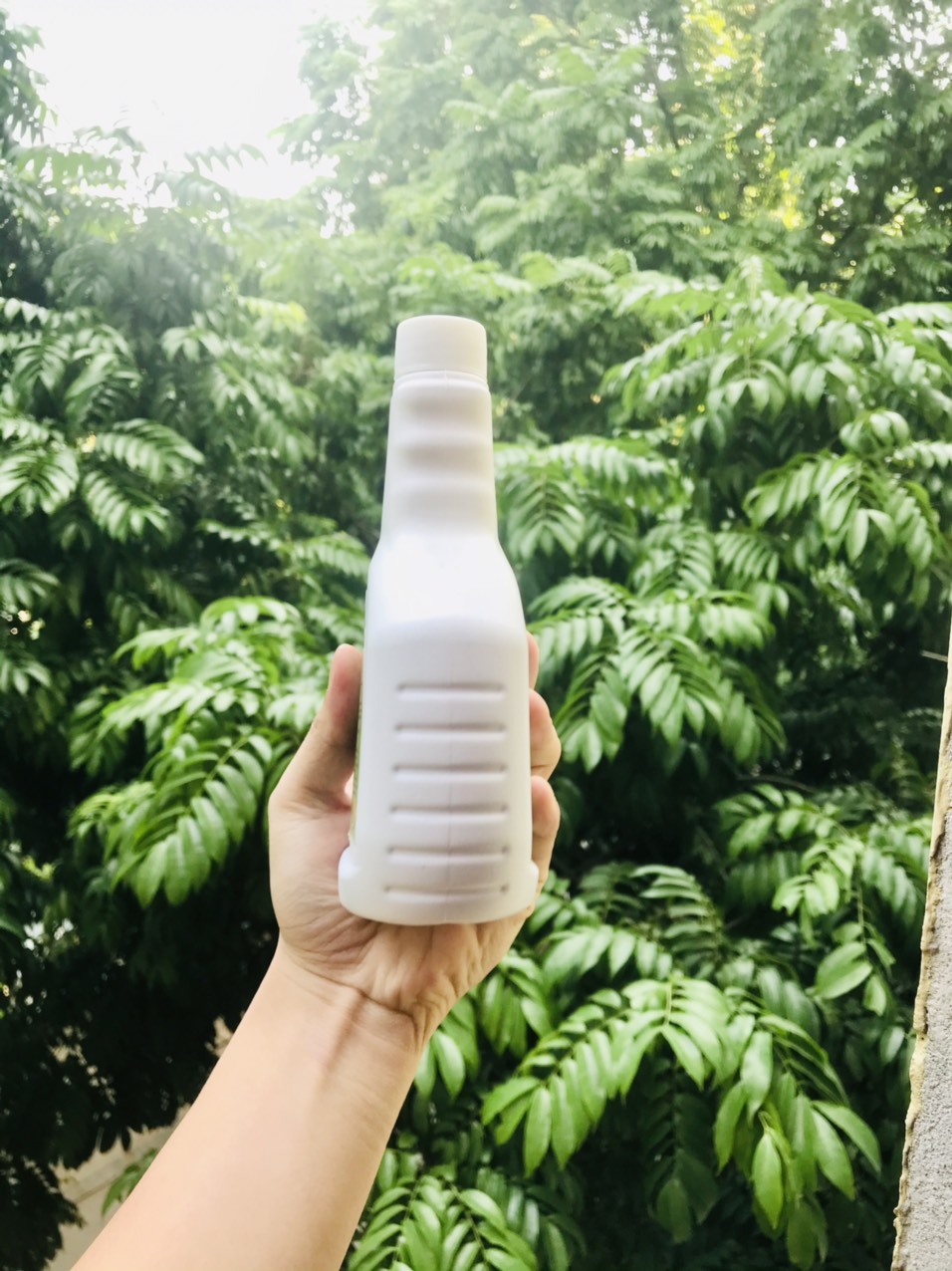 Xịt phòng thảo mộc, chế phẩm đuổi muỗi, kiến và gián 500ml