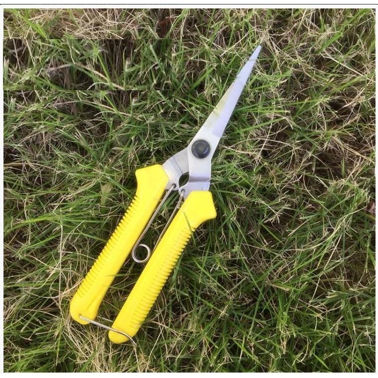 Kéo tỉa cành trái tỉa chi dăm 195cm màu vàng K109