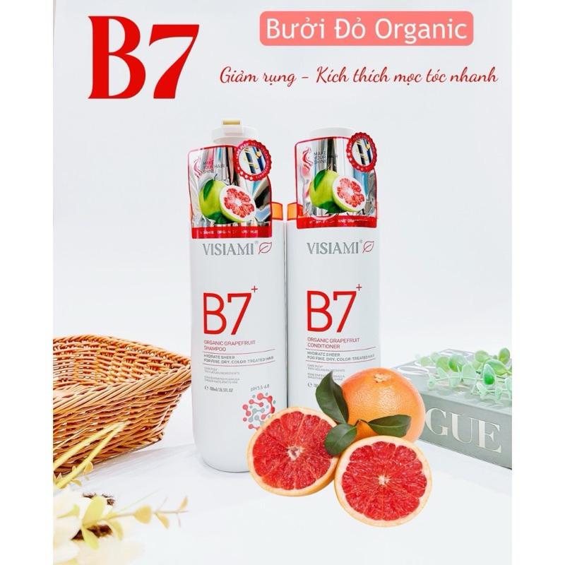 BỘ DẦU GỘI XẢ BIOTIN B7 VISIAMI PHỤC HỒI MỀM MƯỢT GIẢM GÃY RỤNG TÓC - XANH - GỪNG ĐEN