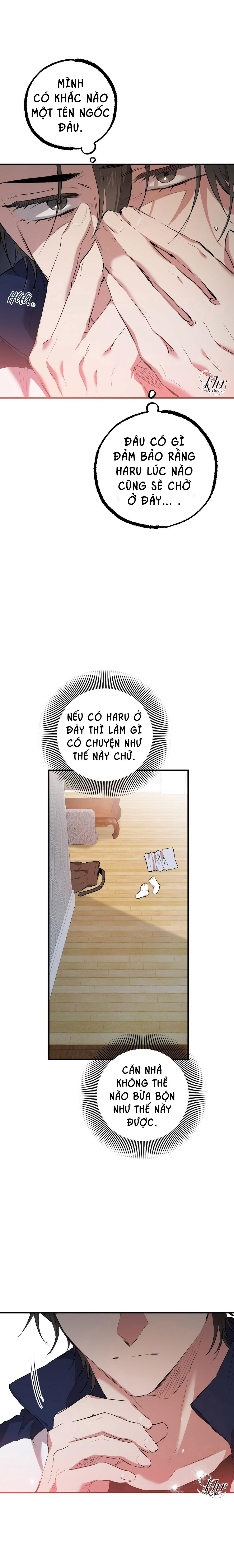 NHỮNG CHÚ THỎ CỦA HAPYPY chapter 23