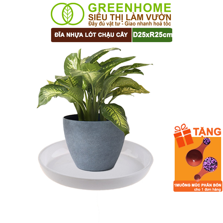 Đĩa Nhựa Lót Chậu Cây Greenhome, R25Cm, Hứng Nước Giúp Sạch Bàn, Sàn, Nhựa Nguyên Sinh, Bền, Đẹp, Chóng Rơi Vỡ - Dĩa Nhựa Tròn R27Cm