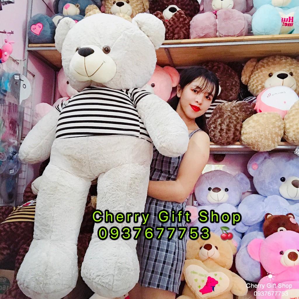 Gấu Bông Teddy Áo Thun Cao Cấp Giá Sốc 1m4 Ảnh Shop Chụp