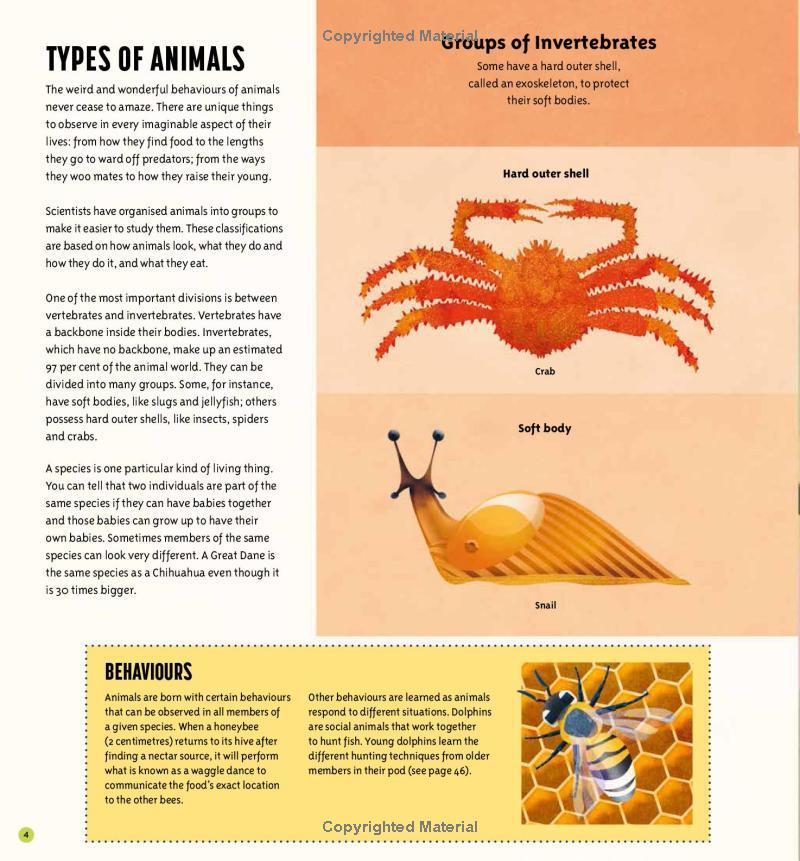 Amazing Animals: 100+ Creatures That Will Boggle Your Mind