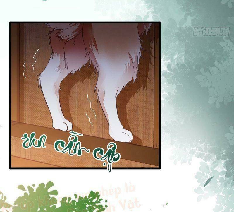 sát thủ vương phi không dễ chọc chapter 31 28