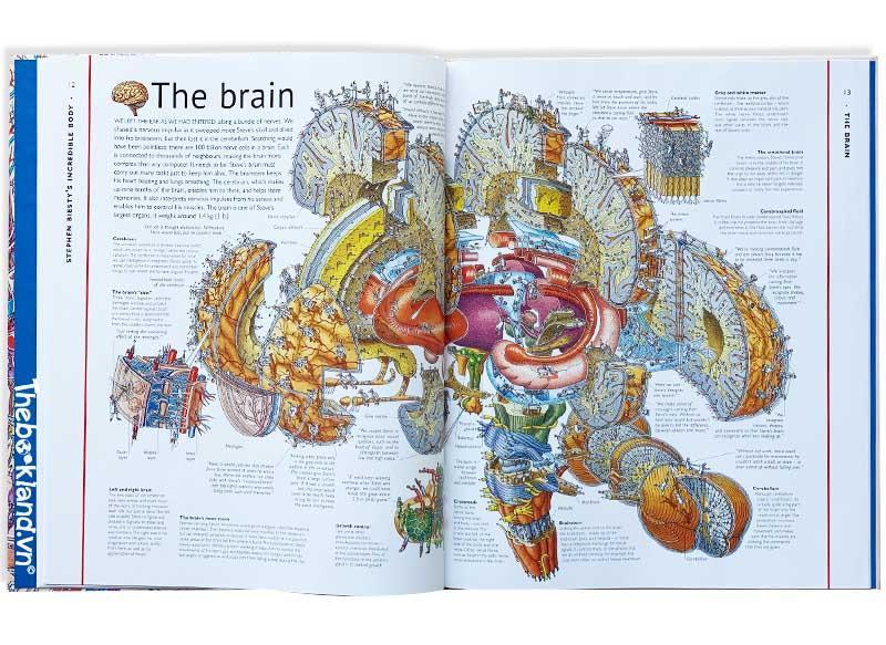 Stephen Biesty's Incredible Body Cross-Sections