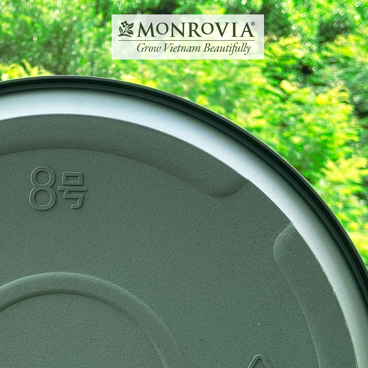 3 Đĩa lót chậu MONROVIA 6 Gallon, Dòng M-series, chậu nhựa trồng cây, chậu cây cảnh mini, để bàn, treo ban công, treo tường, cao cấp, chính hãng thương hiệu MONROVIA