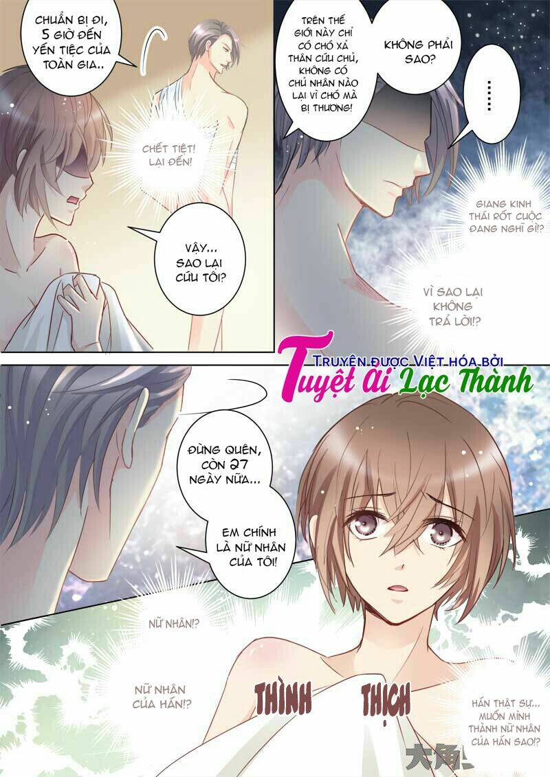 the stars are not luminous body chapter 50 4