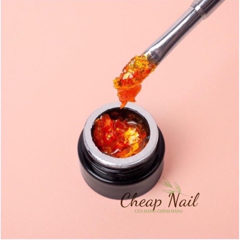 Gel hổ phách set 6 hũ tặng kèm bảng màu beeshi shop nail