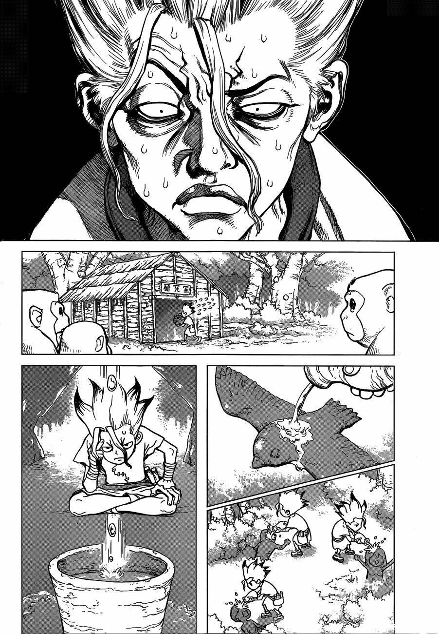 dr.stone - hồi sinh thế giới chapter 14 11