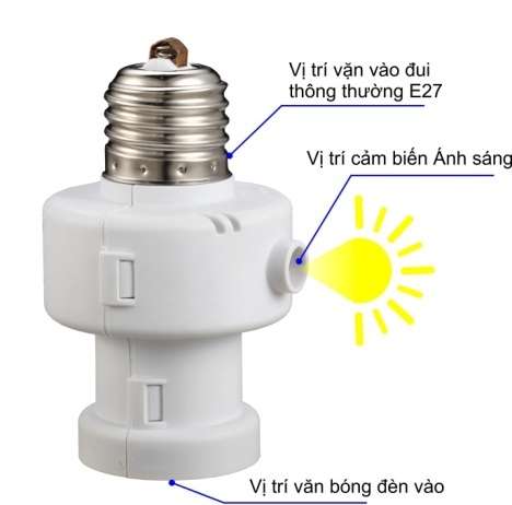 Cấu tạo chi tiết