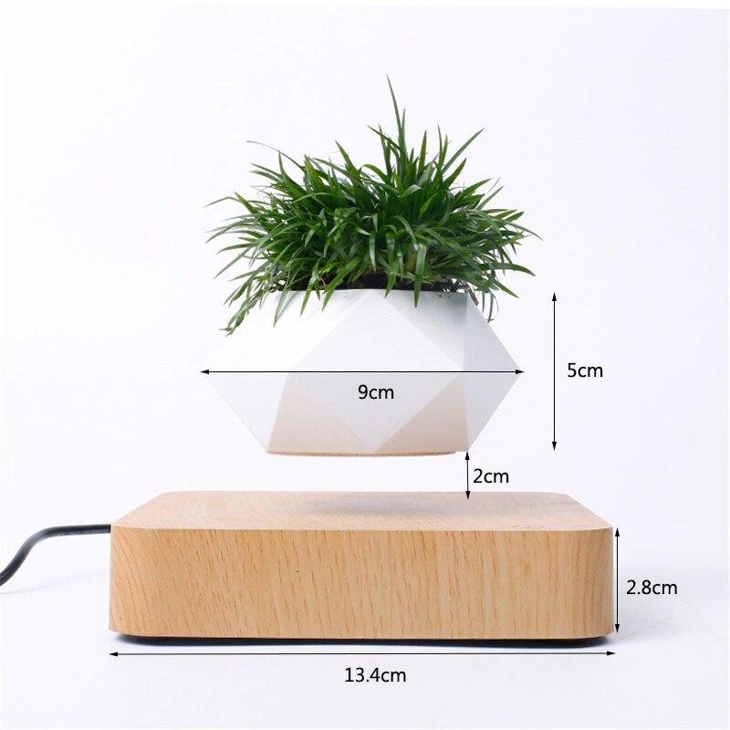 Chậu cây bay trang trí từ tính BonSai Bay Zero W Design
